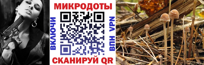 где купить   mega ONION  Псилоцибиновые грибы Magic Shrooms  Сухиничи 